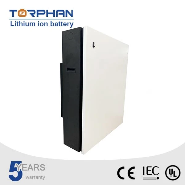 Lithium Ion Battery Pack Lifepo4 suppliers